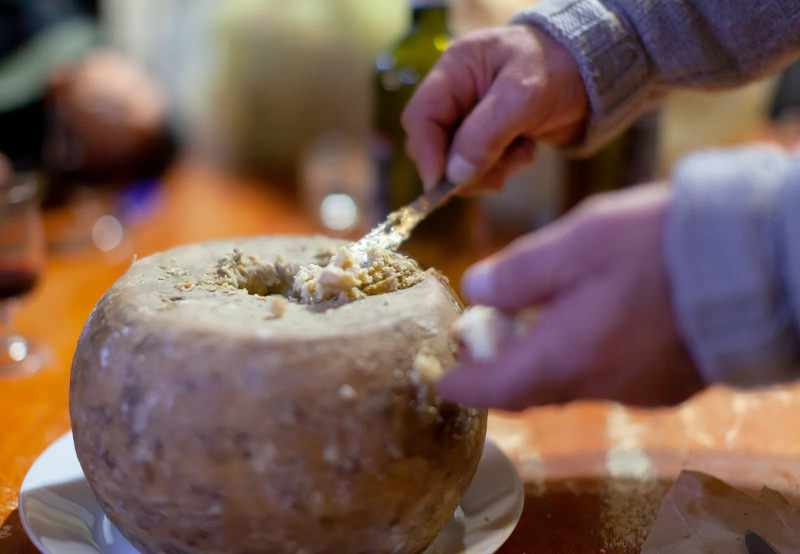 Casu Marzu – Italy - Sardegna | Secret World Trip Planner