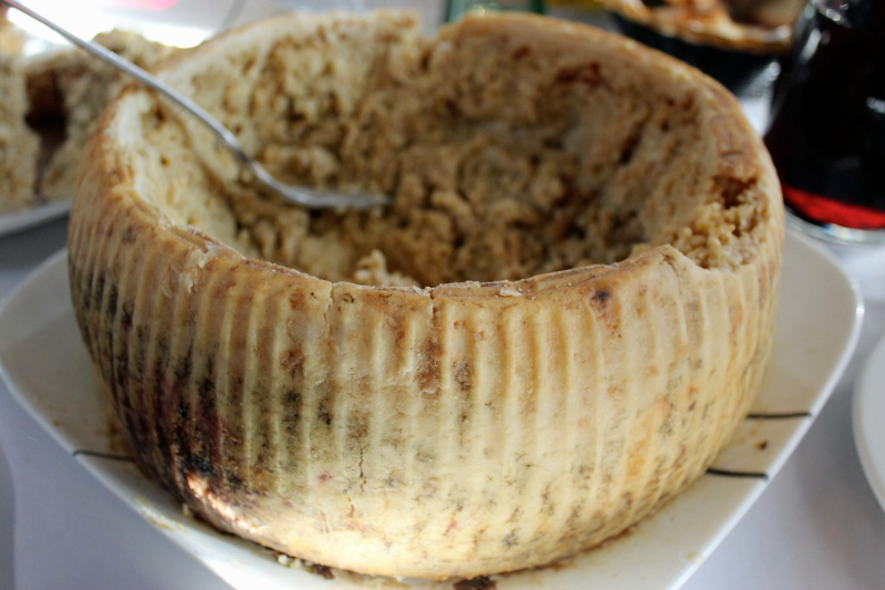 Casu Marzu – Italy - Sardegna | Secret World Trip Planner