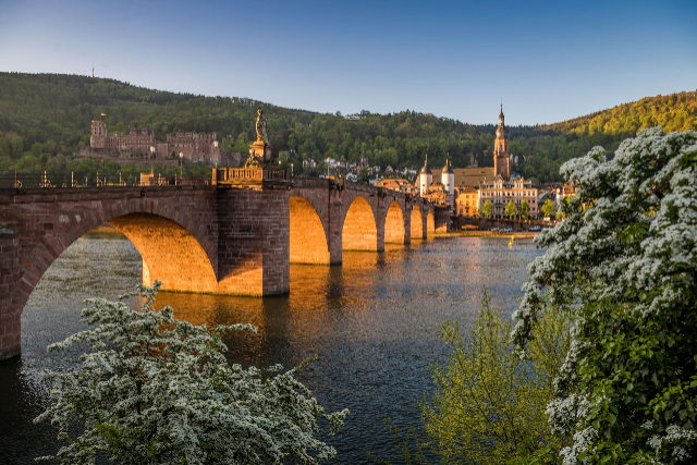 Old bridge Heidelberg — Heidelberg