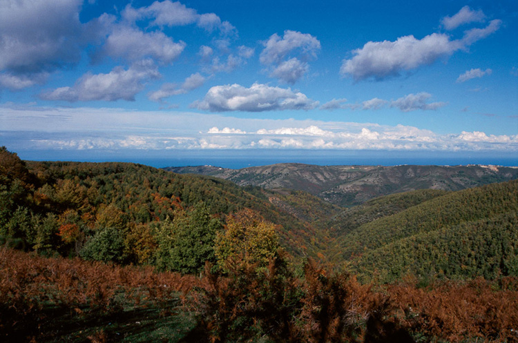 Foresta Umbra - Foresta Umbra | Secret World Trip Planner