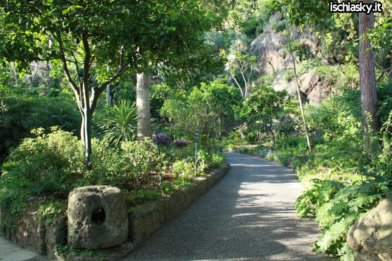 Ischia e i giardini La mortella - Forio | Secret World Trip Planner