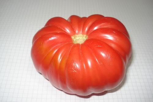 POmodori di Sorrento - Sorrento | Secret World Trip Planner