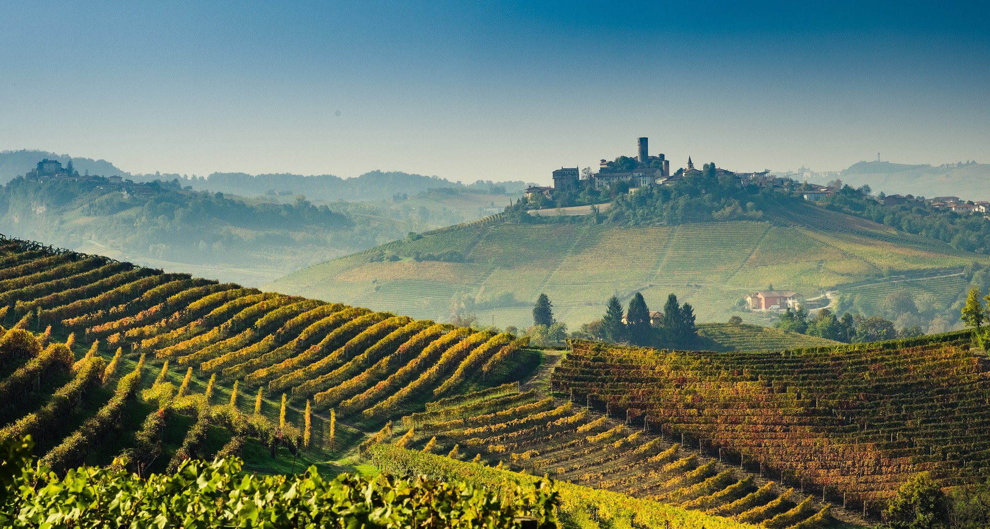 Barolo ed il suo vino — Barolo