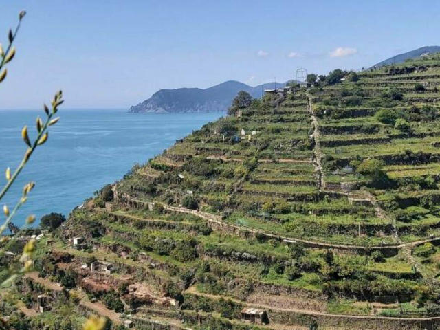 Le Cinque Terre, e la grande Muraglia cinese — Vernazza