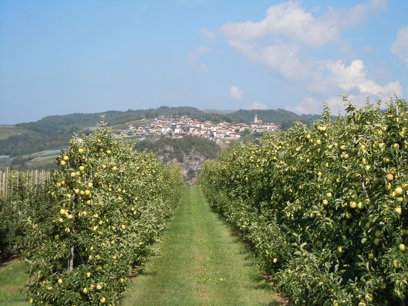 I meleti della Val di Non — Val di Non