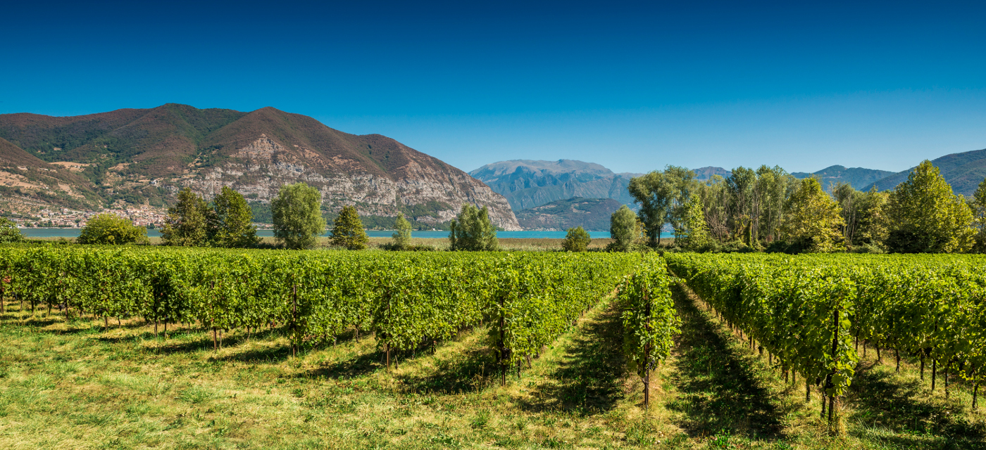 Franciacorta — Provaglio d'Iseo