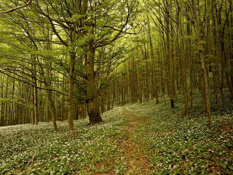 Piana di Verteglia - Montella | Secret World Trip Planner