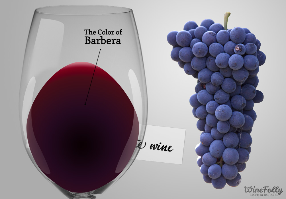 Top Wines of The World | Barbera d'Alba doc - 12051 Alba CN | Secret World Trip Planner
