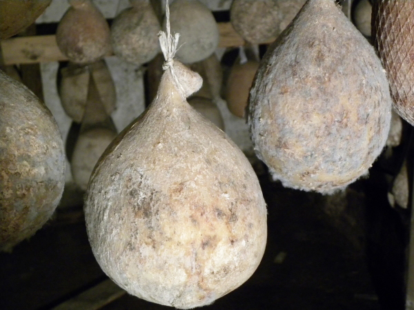 Caciocavallo irpino di grotta — Montella