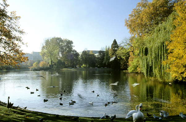 Düsseldorf: Hofgarten, ein Ort zum Entspannen — Düsseldorf