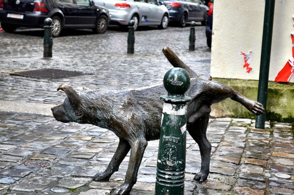 Zinneke Pis - il cane che fa la pipì (Zinneke Pis) — Bruxelles