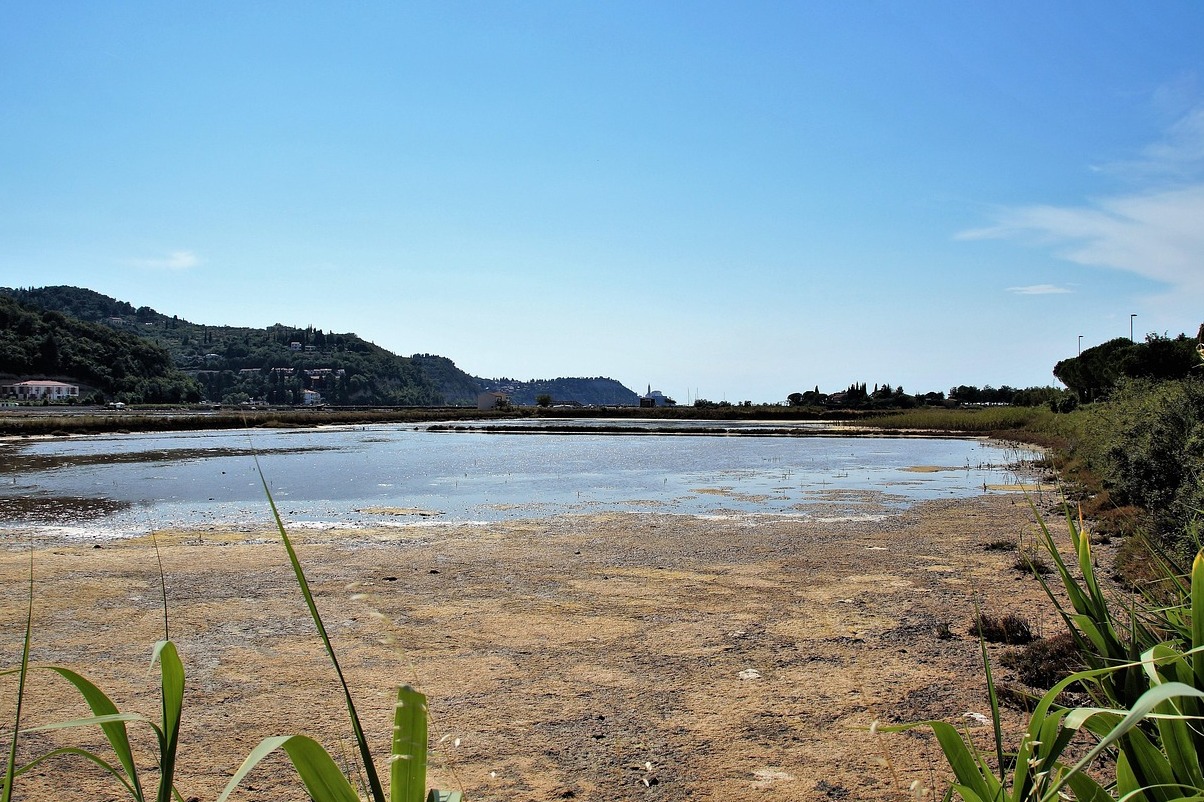 பண்டைய Salina Camillone - Castiglione di Cervia | Secret World Trip Planner