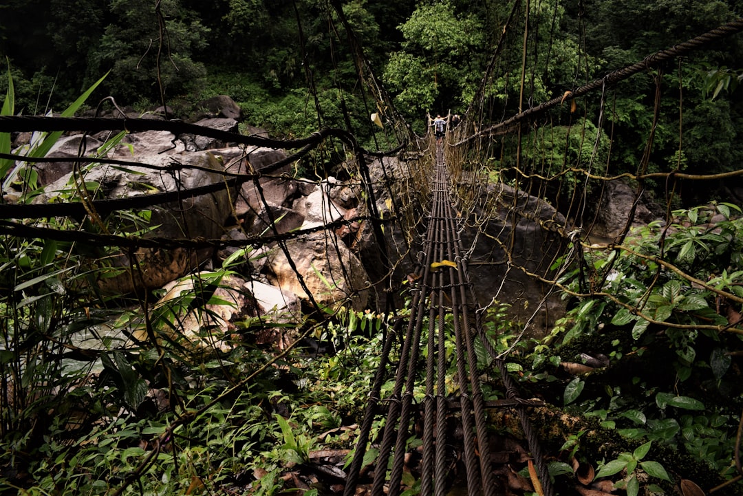 Lebende Wurzelbrücken von Meghalaya - Cherrapunji-Mawsynram Reserve Forest | Secret World Trip Planner