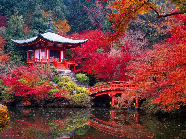 Kyoto: The garden and the Saihoji Temple  — Ky?to-shi