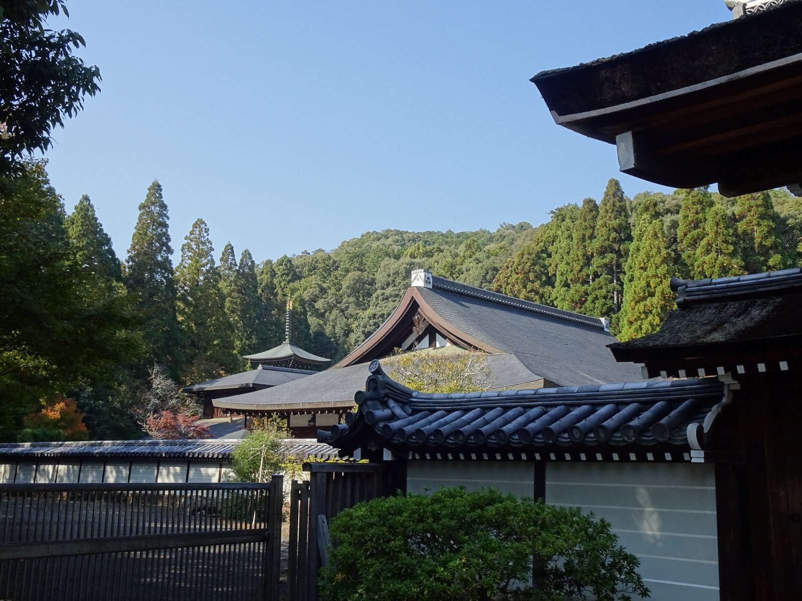 Kyoto: The garden and the Saihoji Temple  - Ky?to-shi | Secret World Trip Planner