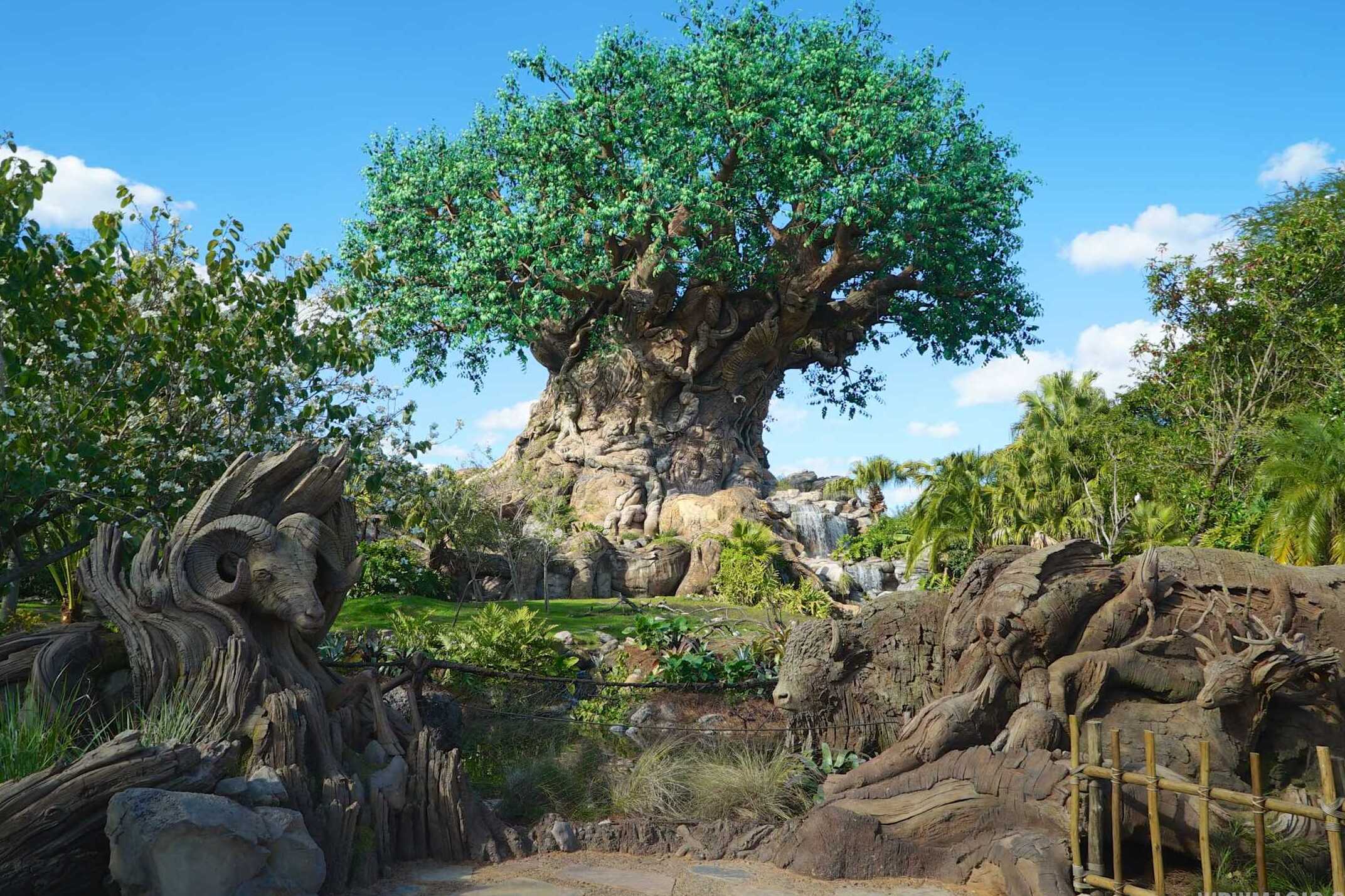 Disneys Tierreich in Walt Disney World — Kissimmee