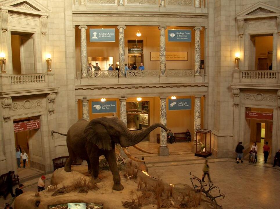 Smithsonian National Museum of Natural History