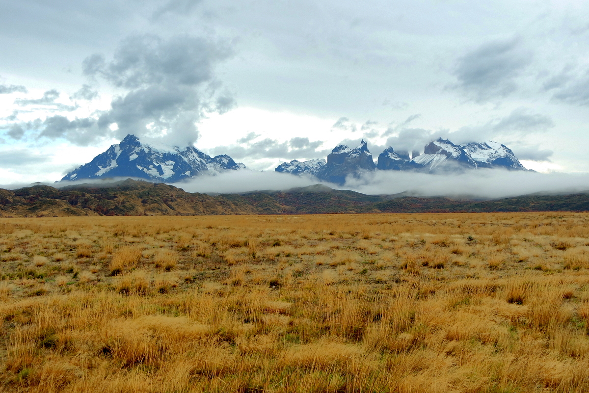 Cordillera Paine - Torres de Paine | Secret World Trip Planner