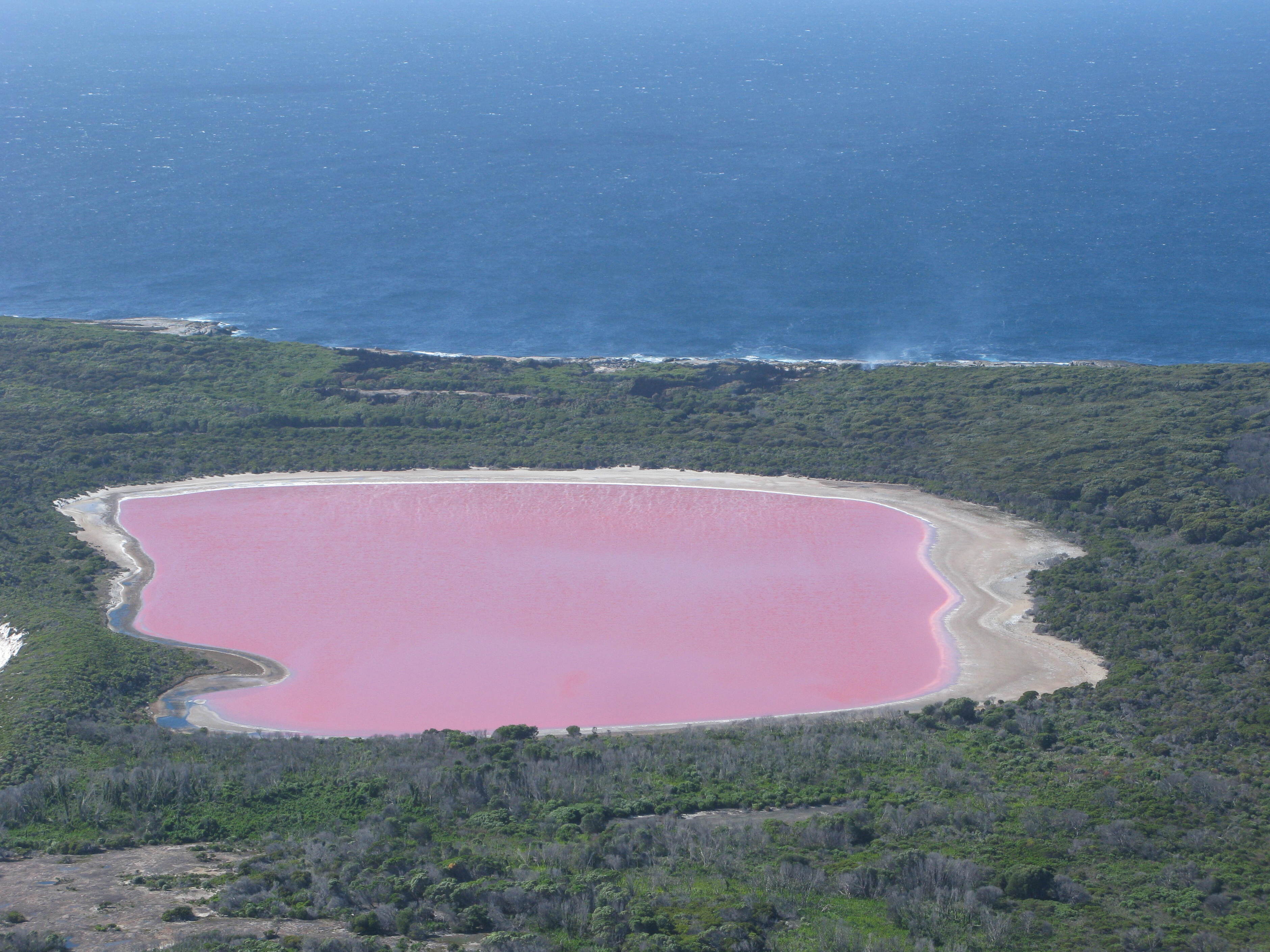Lake Hillier und das rosa Rätsel - Australien - Lake Hillier | Secret World Trip Planner