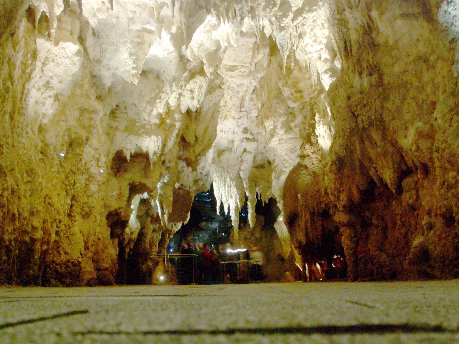 Glowworm Caves - Magical glowworms in New Zeland - Waitomo | Secret World Trip Planner