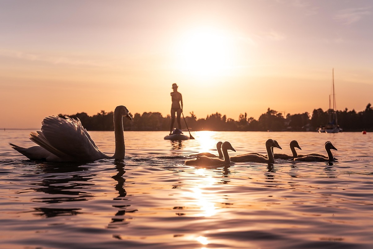 Mainau is an island in Lake Constance - Costanza | Secret World Trip Planner