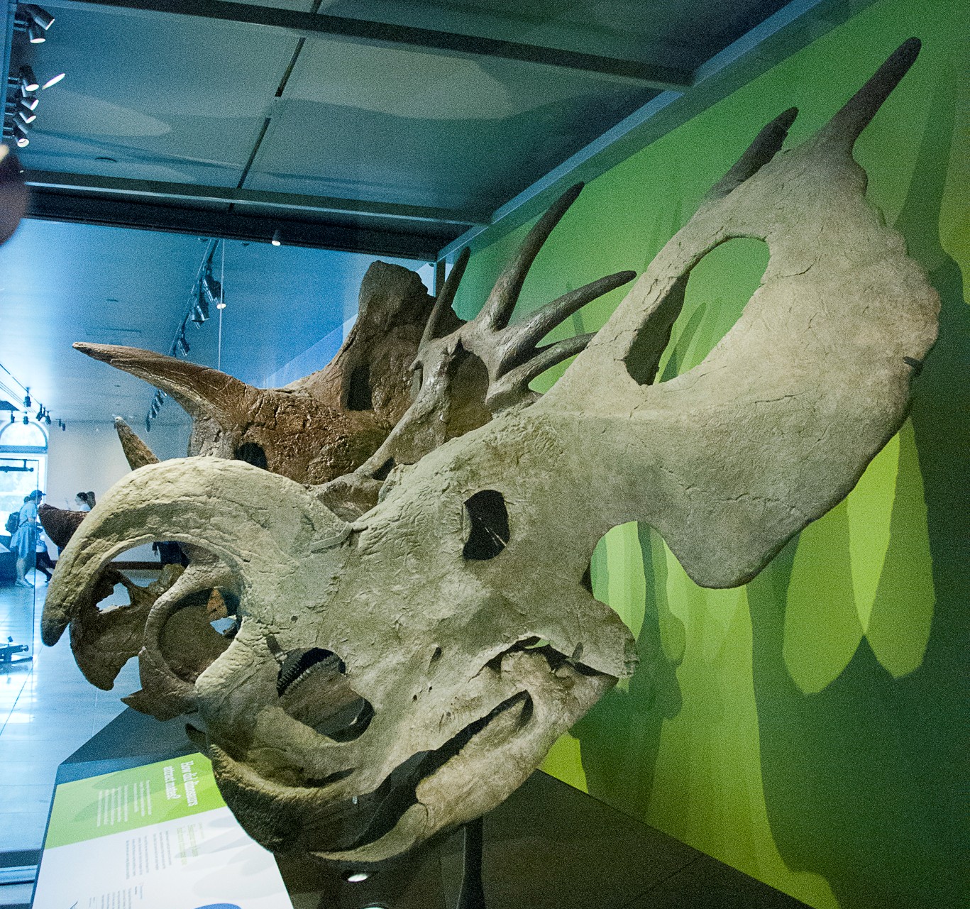 Naturhistorisches Museum in Los Angeles - Los Angeles | Secret World Trip Planner