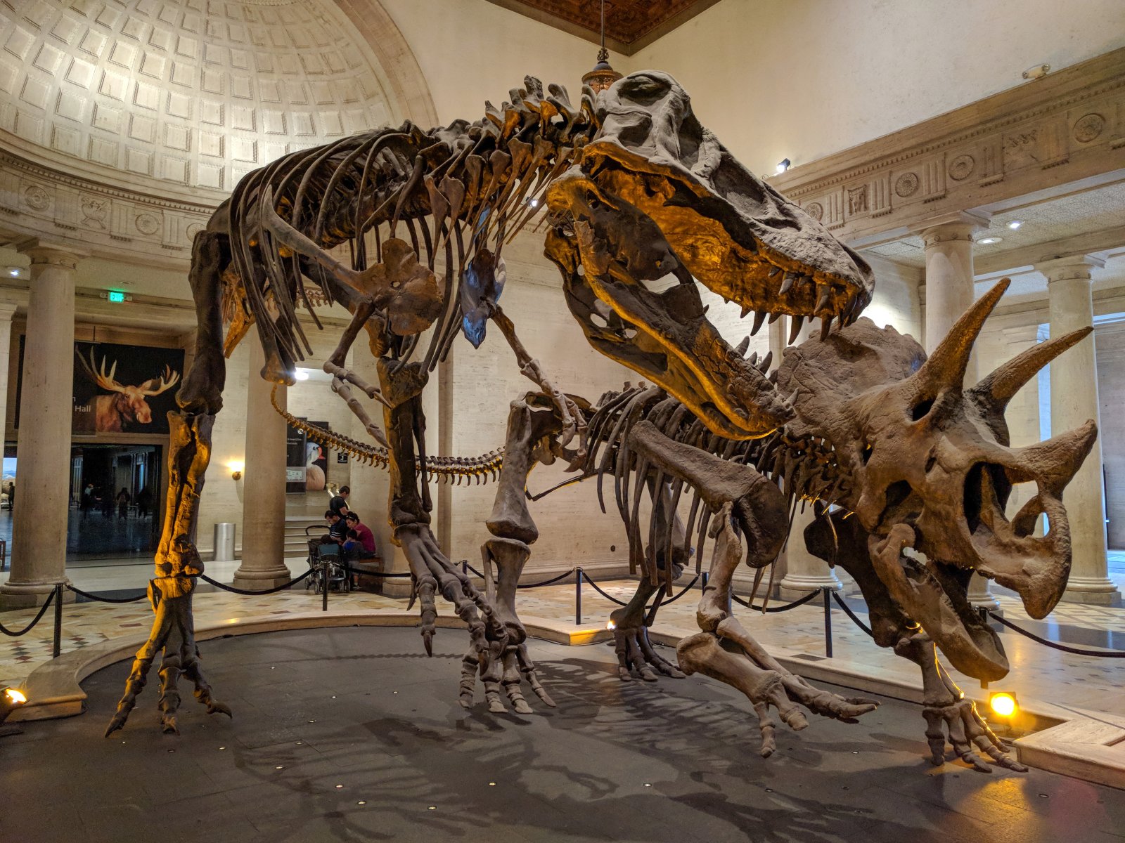Naturhistorisches Museum in Los Angeles - Los Angeles | Secret World Trip Planner