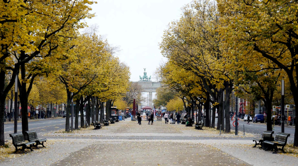 Linden on Berliini peamine läbipääsutee - Berlin | Secret World Trip Planner
