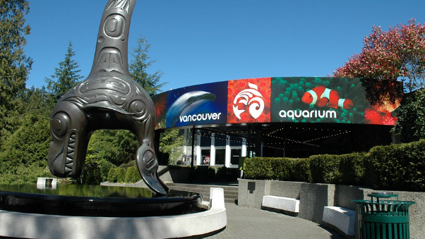 Vancouver Aquarium in Stanley Park — Vancouver