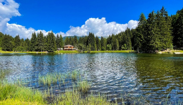 Lago dei Caprioli — Fazzon