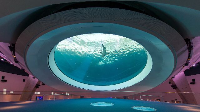 Phillip and Patricia Frost Museum of Science - Miami | Secret World Trip Planner