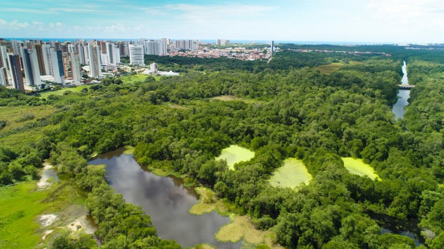 Parque Estadual do Cocó — Fortaleza - CE