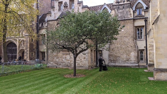 L'albero della mela di Newton - Trinity St | Secret World Trip Planner