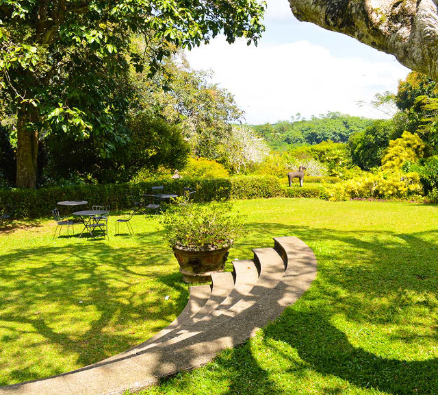 Brief Garden — Beruwala