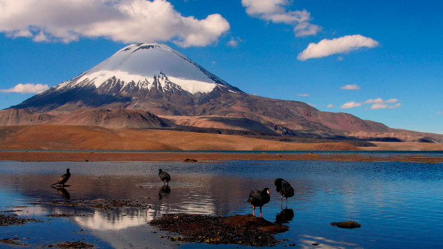 Riserva Nazionale Las Vicuñas | Secret World Trip Planner
