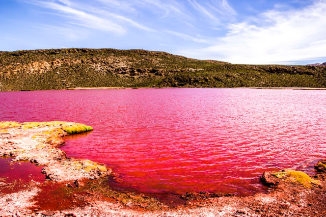 Laguna Rossa — Tarapacá