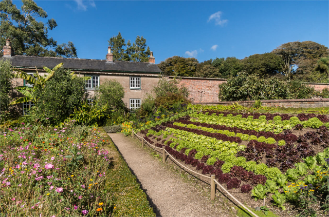 Trengwainton Gardens - Madron | Secret World Trip Planner