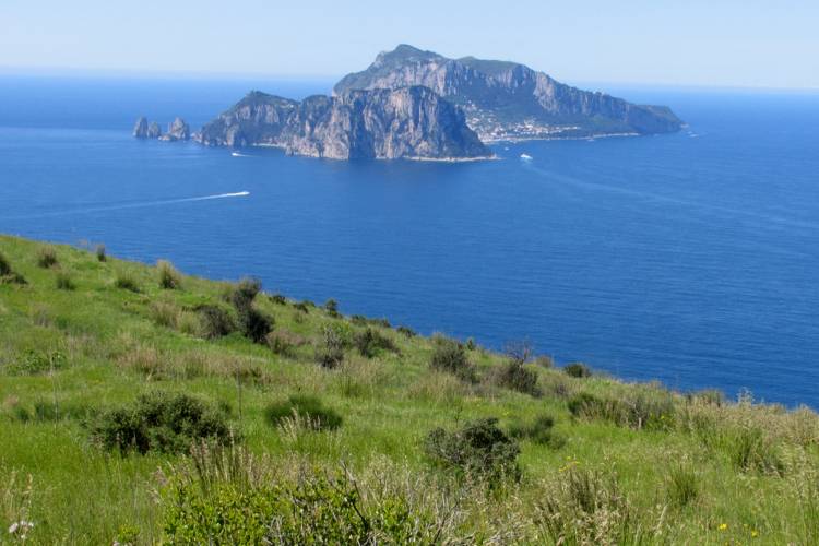 Pika Campanella - Area naturale marina protetta Punta Campanella | Secret World Trip Planner