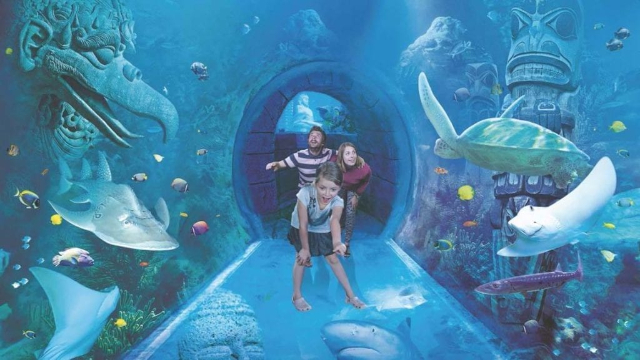 SEA LIFE Orlando Aquarium — Orlando