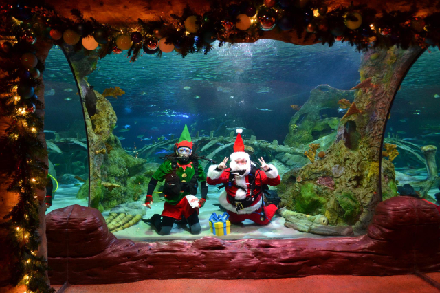 SEA LIFE Orlando Aquarium - Orlando | Secret World Trip Planner