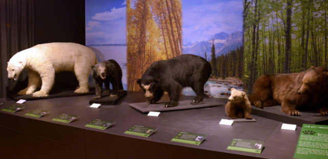 Das JURASSICA-Museum - Porrentruy | Secret World Trip Planner