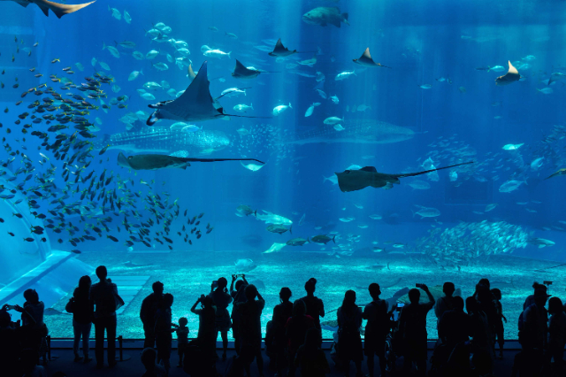 Underwater World Qingdao, — Qing Dao Shi
