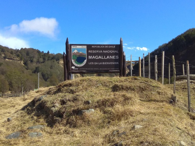 Riserva Nazionale Magallanes - Punta Arenas | Secret World Trip Planner