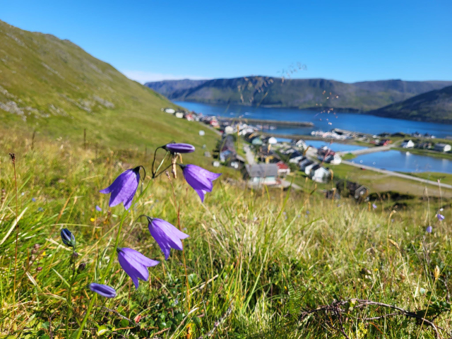 Il villaggio di pescatori di Skarsvåg - Skutnesveien | Secret World Trip Planner