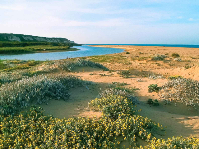 Riserva Naturale Orientata "Foce del Fiume Platani"  - Ribera | Secret World Trip Planner