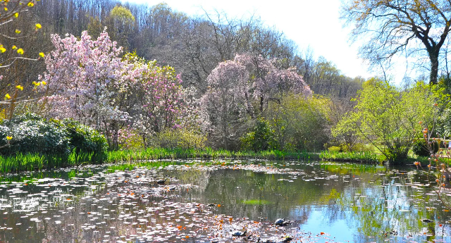 Lo splendido Giardino Viatori, a Gorizia — Gorizia