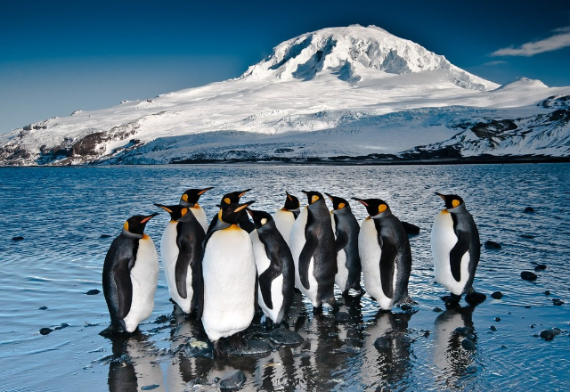 Le isole Heard e McDonald | Secret World Trip Planner