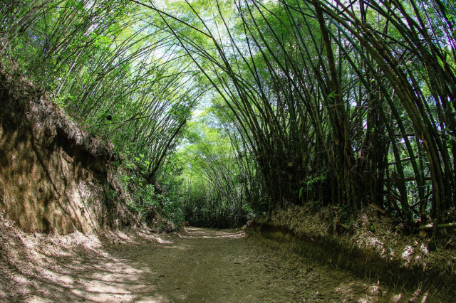 Parco Municipale di Maceio - Maceió - AL | Secret World Trip Planner