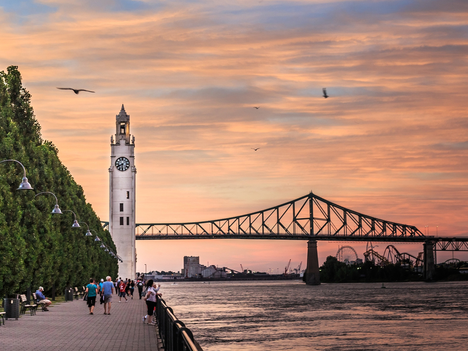 Montreal | The Clock Tower — Montréal