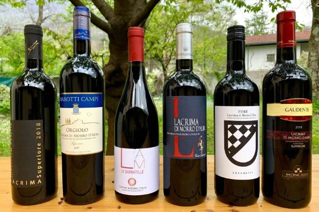 Morro d’Alba, il borgo del vino Lacrima - Morro d'Alba | Secret World Trip Planner